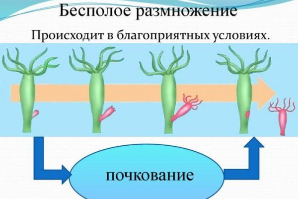 Спрут сайт тор